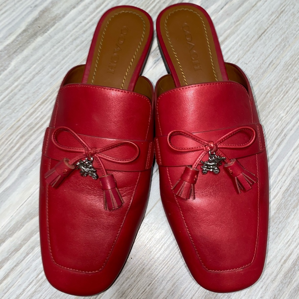 COPY - Coach slides